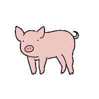 Pig Sticker