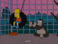 homer simpson GIF