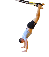 ASFITNESSCZ fitness gym exercise asfitness Sticker