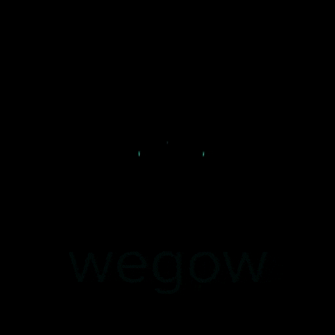 GIF by Wegow