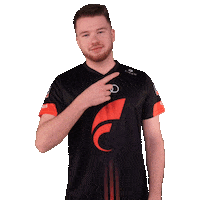 Pointing Fifa20 Sticker by STARK ESPORTS