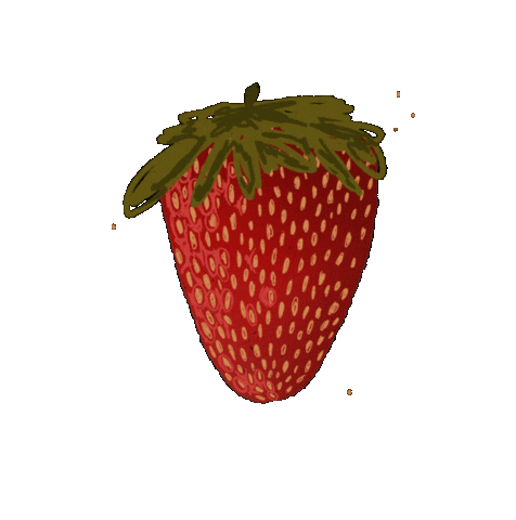 StoneTreePrints strawberry strawberries stonetreeprints Sticker