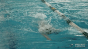 athletics swimming GIF by GreenWave