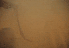 Music Video Ii GIF by Mother Mother