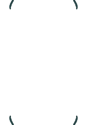 Vine Sticker by Mrs Rockett