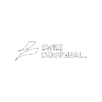 Logo Sticker by Swiss Dodgeball