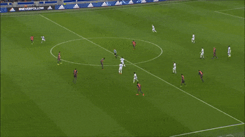 les gones ol GIF by Olympique Lyonnais
