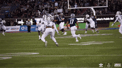 Cfb GIF by Texas State Football