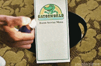 and this is ridiculously accurate fresh off the boat GIF