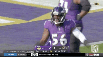 Baltimore Ravens Football GIF by NFL