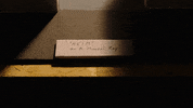 nrkp3 love alex luna peter GIF