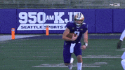 gostanford  GIF