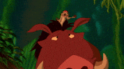 disneymusic disney the lion king lion king hakuna matata GIF