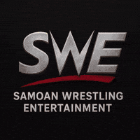 Pro Wrestling Wwe GIF