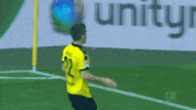 christian pulisic dance GIF by Borussia Dortmund