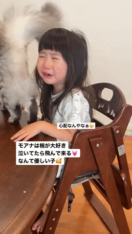cuteanimalland giphyupload GIF