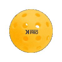 AirBenderPro ball pro pickleball airbender Sticker