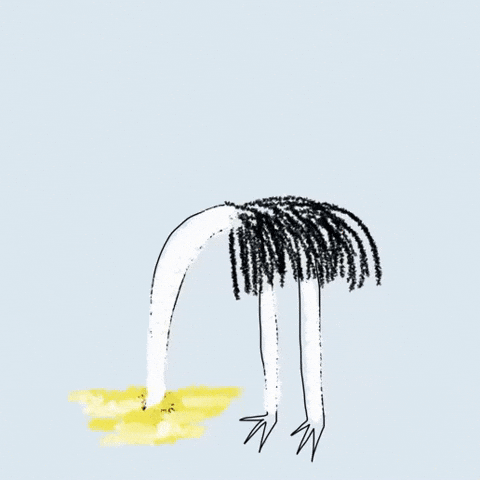 Think About It Ostrich GIF by Barbara Pozzi