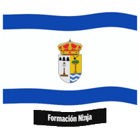 Castilla Y Leon Flag Sticker by Formación Ninja