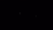 selladoortheatre theatre q musicals selladoor GIF