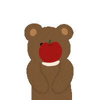 Sorry Bear Sticker