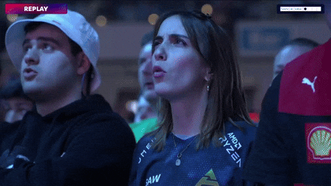 Esports Crowd GIF by BLAST