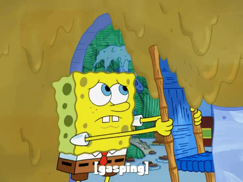 season 8 GIF by SpongeBob SquarePants