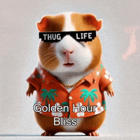 GIF by Guinea Gambino