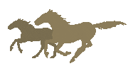 Mare Galloping Sticker by New Zealand Bloodstock