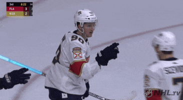 nhl sports celebrate hockey nhl GIF