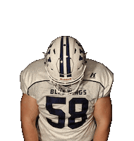 BlueWingsWolfsburg football sticker instagram blue Sticker