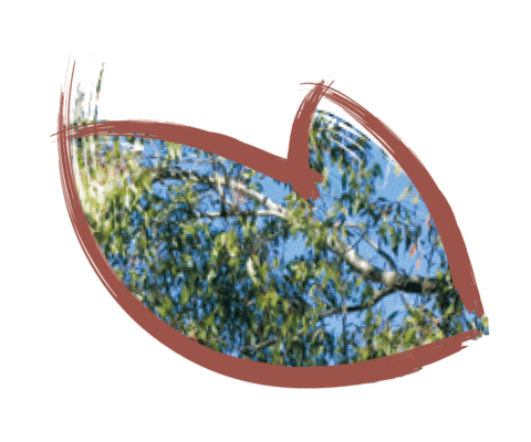 Endangered Species Australia Sticker by NSW Department of Planning, Industry and Environment