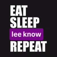 Stray Kids Lee Know GIF