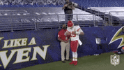 Regular Season Football GIF by NFL