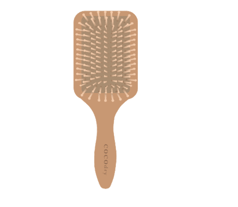 Coconation Sticker by COCOdry