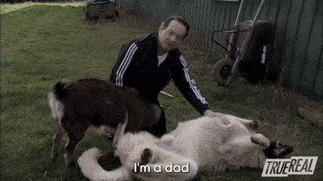 I'm A Dad