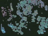 easter houston GIF by MFD