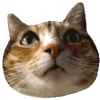 Mei Mei Cat Sticker