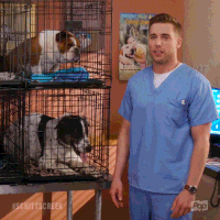 pop tv GIF by Schitt's Creek