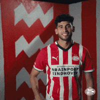 Usa Eindhoven GIF by PSV