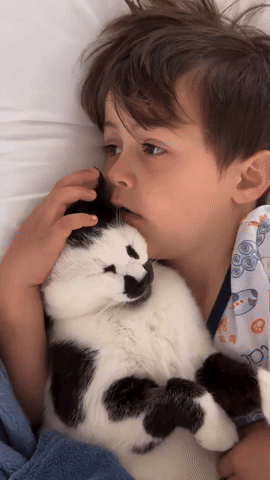 cuteanimalland giphyupload GIF