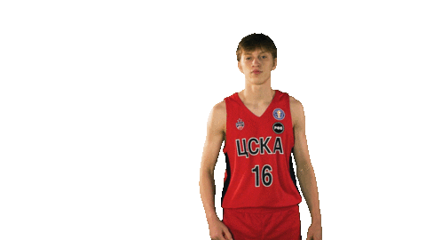 Cskabasket Sticker by CSKA Moscow