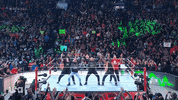Wwe Wrestling GIF by USA Network