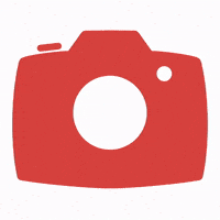 _animo1 photo sx70 GIF