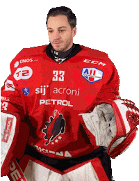 Hockey Goaly Sticker by HDD SIJ Acroni Jesenice