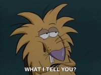 nickrewind nicksplat angry beaver GIF