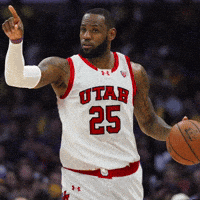 Lebron James Utah GIF