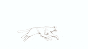 animation cat GIF by NALEB