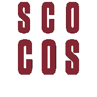 Go Broncos Sticker by Santa Clara Broncos