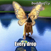 Water Love GIF by BuddhaFlyJourney